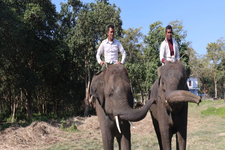 Khagendraprasad -1765849197.webp